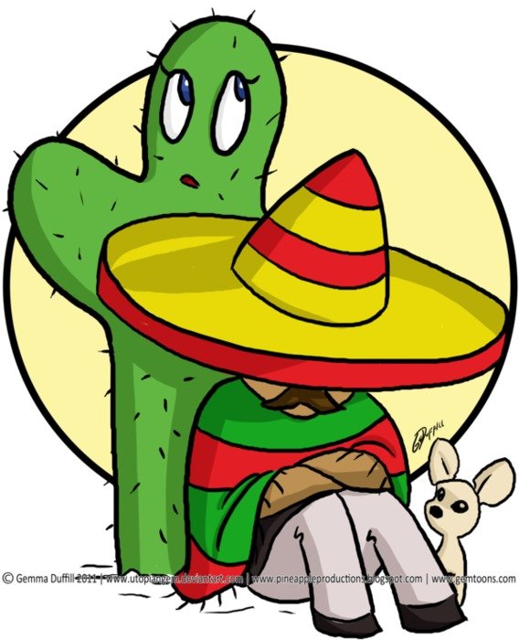 Sombrero Clip Art N23