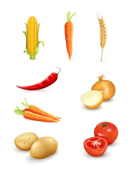 Vegetable Vector N2