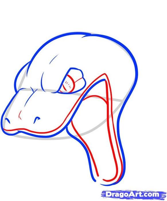 Snake Head Drawings N4