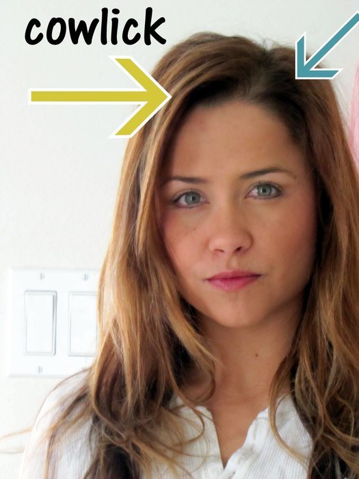 Cowlick as a picture for clipart