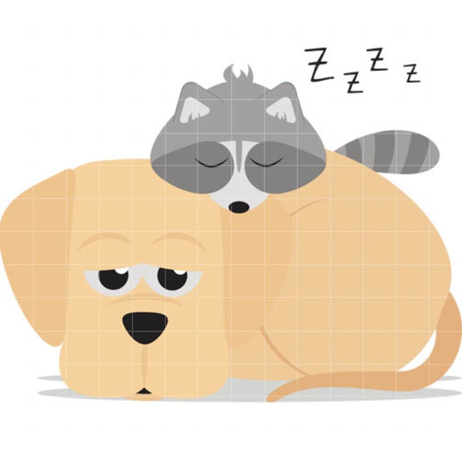 Raccoon Clip Art And Images