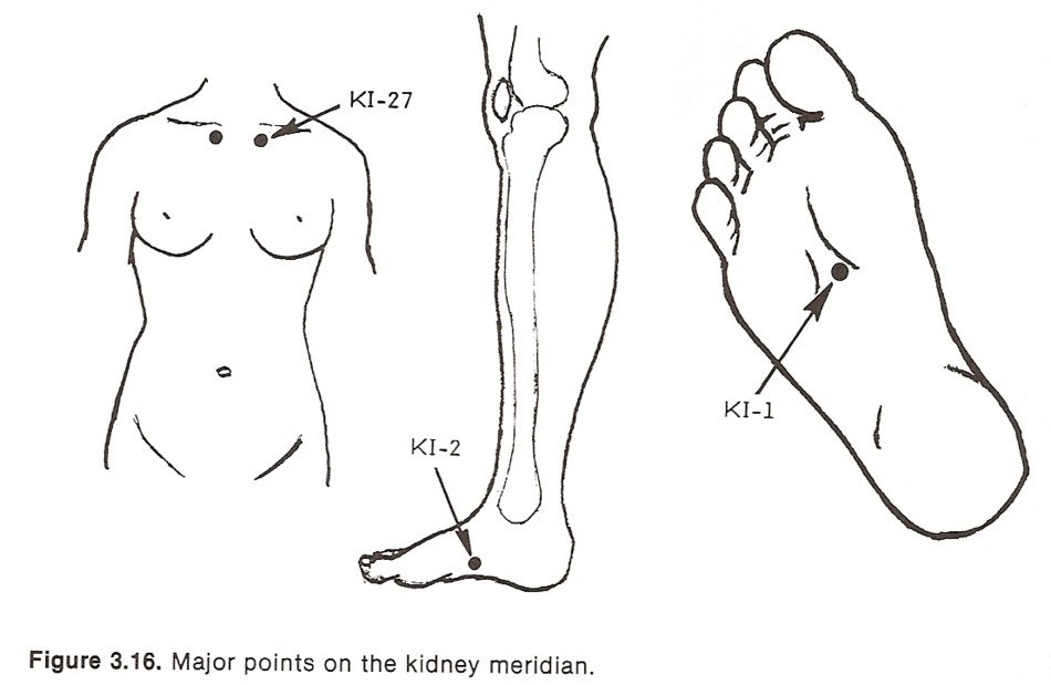 Kidney Meridian Chart drawing