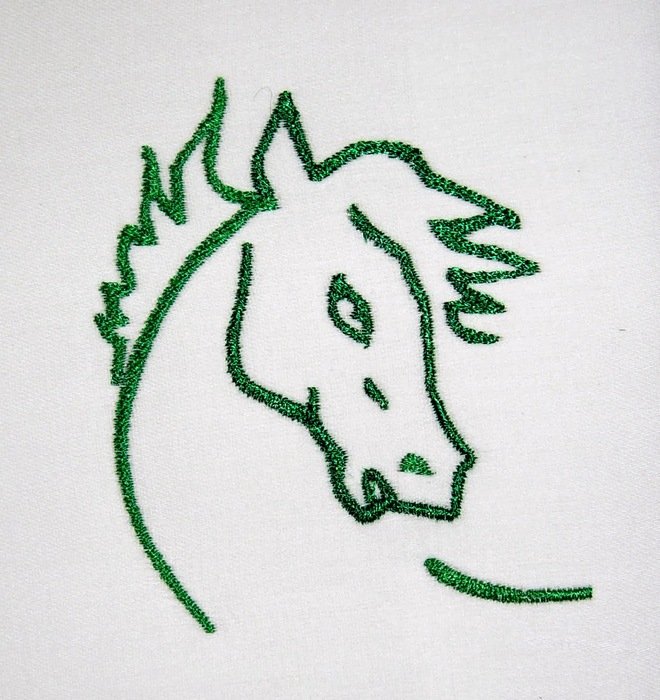 head of a beautiful horse as a drawing
