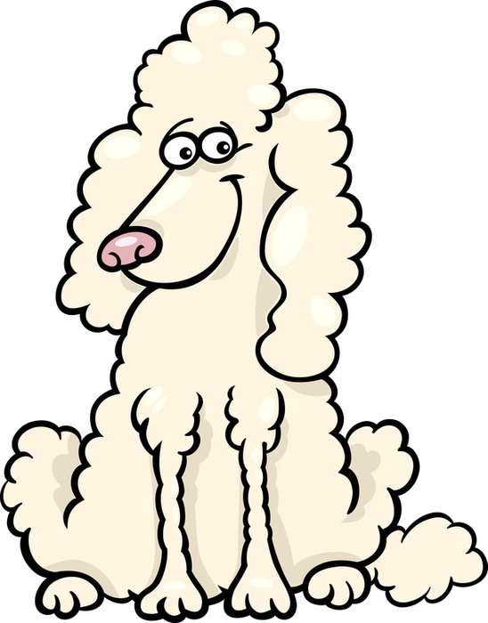 Cartoon Poodle N7