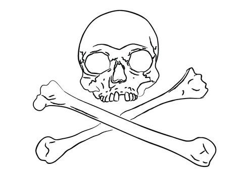 painted skull with two crossbones