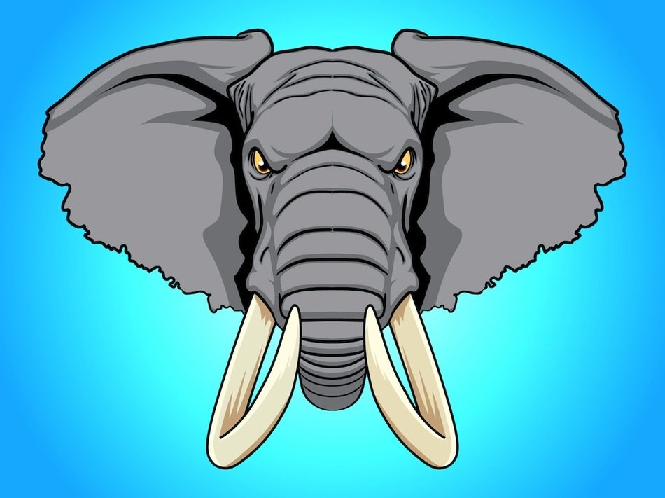 Elephant head on the blue background