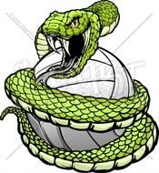 Coiled Snake Clip Art N2