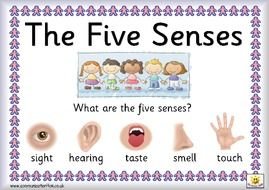 Preschool Five Senses