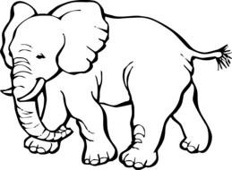 Elephant Coloring Pages N2