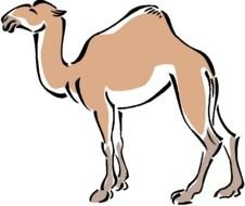Cute Camel Clip Art N4