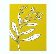 Botanical Line Drawing Clip Art