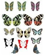 Fairy Wings Clip Art N12