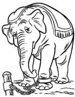 Dumbo The Elephant Coloring Pages