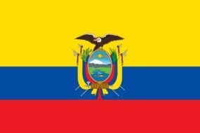 Ecuador Flag drawing