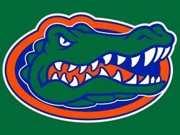 Florida Gators as a logo