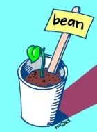 Bean Plant Growth Clip Art