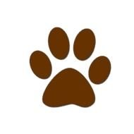 brown dog paw print