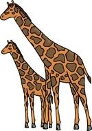 two Cartoon Giraffe drawing