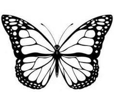 Monarch Butterfly Coloring Page N5