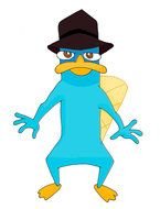painted Perry platypus