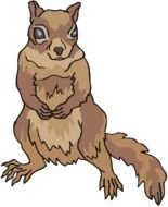 Squirrel Clip Art drawing