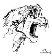 Fierce Lion face Drawing