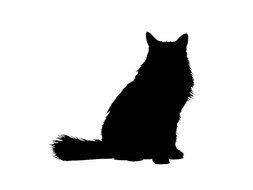 furry Cat, Silhouette