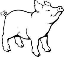 nice Pig Coloring Page drawing