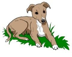 Whippet as graphic illustration