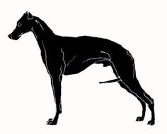 Whippet Clipart Page1
