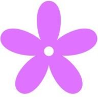 purple flower as a graphic illustration