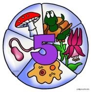Five Kingdoms