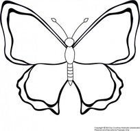 Butterfly Coloring Pages N5