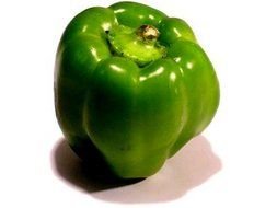 Green fresh Bell Pepper drawing
