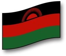 Malawi flag on a white background