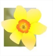 Daffodil Clip Art N22