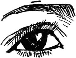 Eyes Clip Art N25