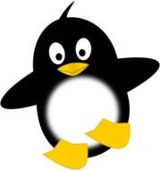 Beautiful and cute black and white penguin clipart