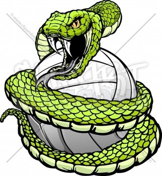Coiled Snake Clip Art N2