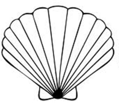 Seashell Clip Art N19
