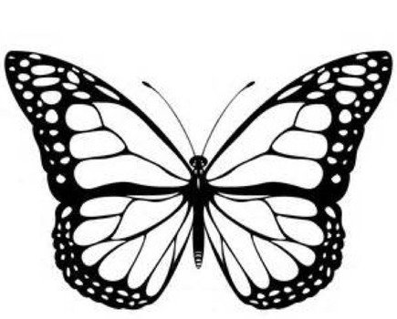 Monarch Butterfly Coloring Page N5