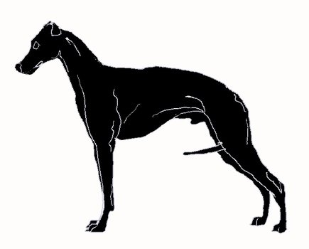 Whippet Clipart Page1