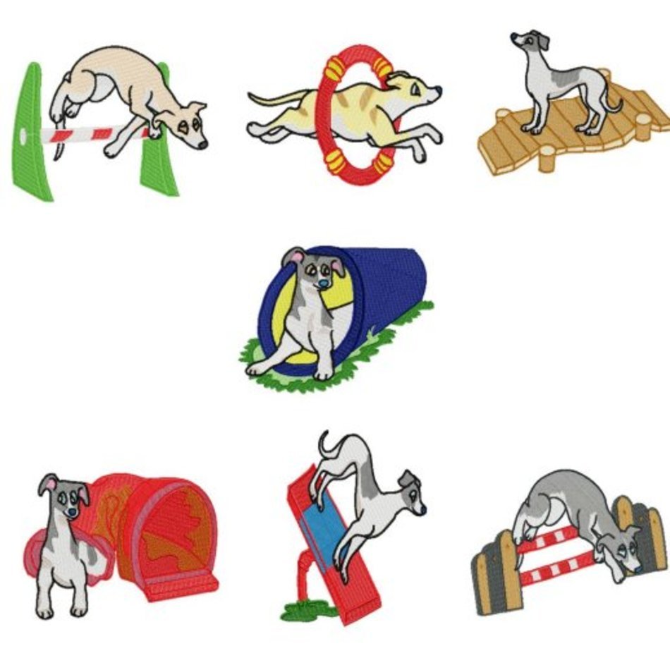 Whippet Clipart