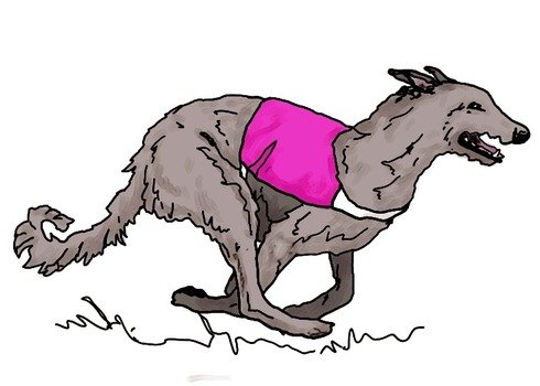 Home Whippet Clipart Page1 Page 2 And Some Other N6