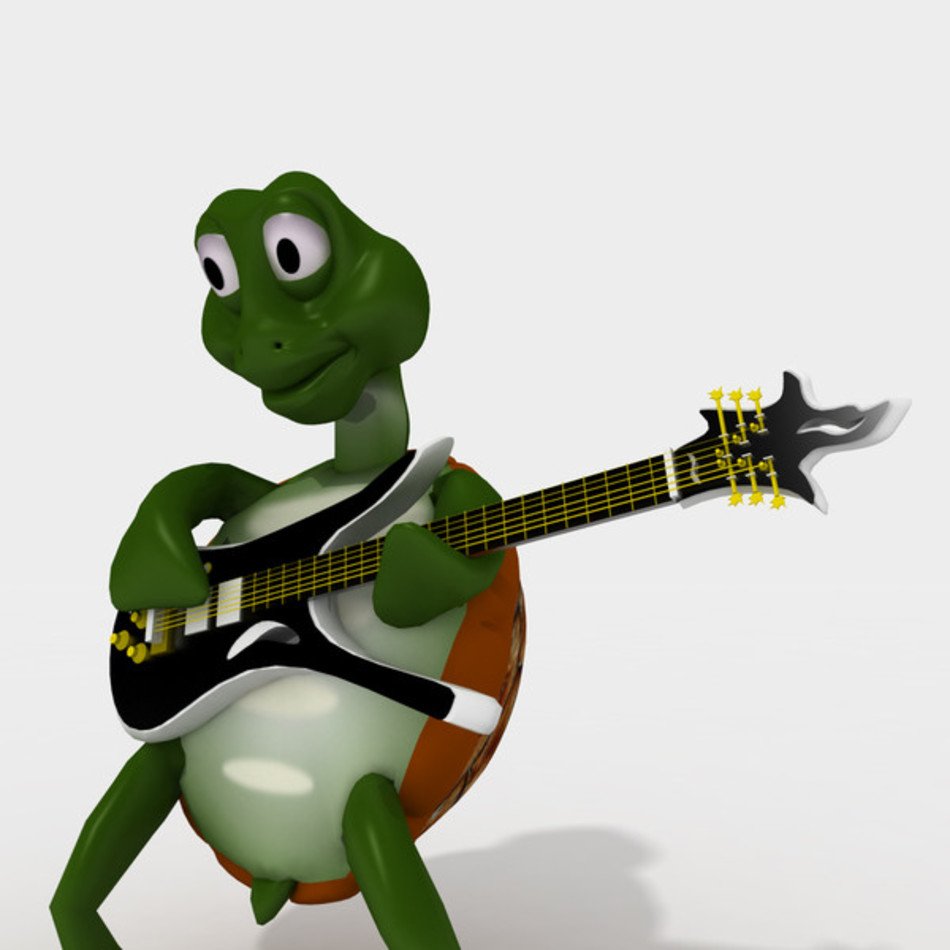 3D Turtle N2