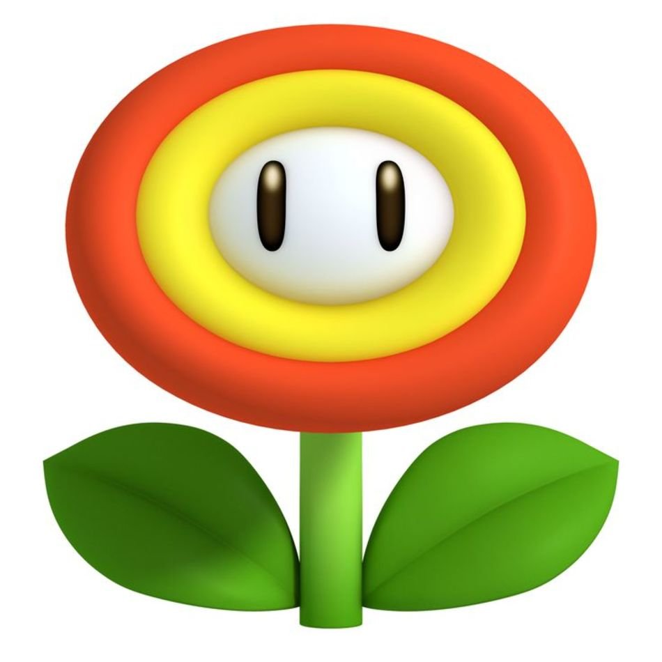 Super Mario Bros Fire Flower