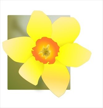 Daffodil Clip Art N22