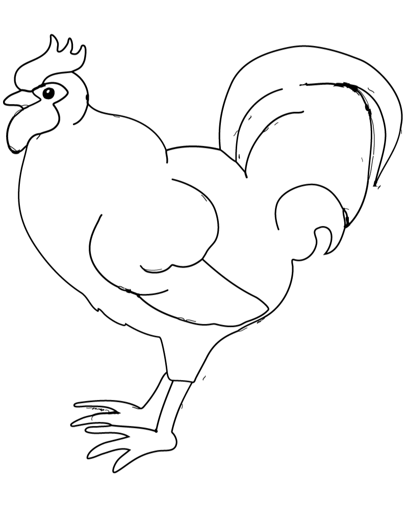 Rooster Coloring Page darwing free image download