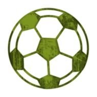 Soccer Ball Icon