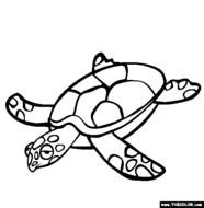 Sea Turtle Coloring Pages N4